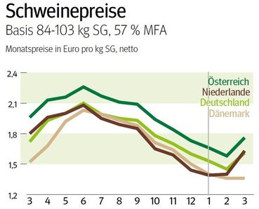 NÖ: Ausblick auf den Schweinemarkt im April © LK NÖ