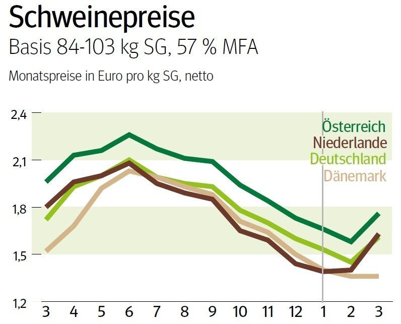 NÖ: Ausblick auf den Schweinemarkt im April © LK NÖ