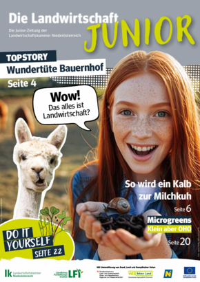 Magazin Junior © Magazin Junior