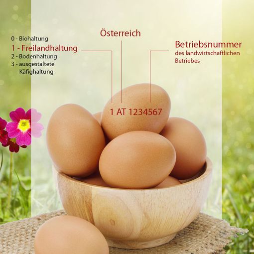 Foto-Eier.jpg © Sonja Hießberger/LK Niederösterreich