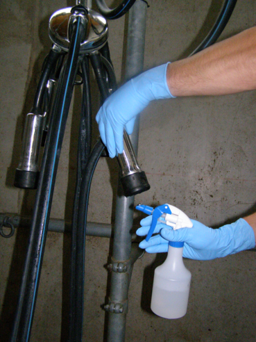 Zwischendesinfektion mit Peressigsäure (1).png © BRH OÖ