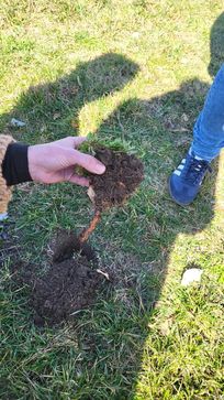 [1774597445117640.jpg]