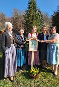 [1774812426066764.jpg]