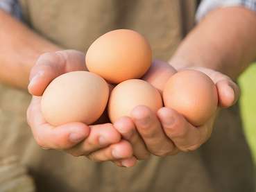 Eier.jpg © AdobeStock