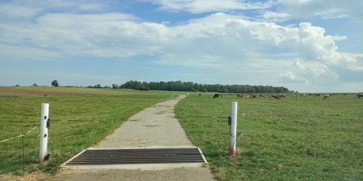 Weiderost.jpg © LK OÖ / Rudlstorfer