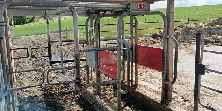 Weideselektionstor.jpg © LK OÖ / Rudlstorfer