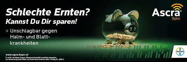 Ascra_Xpro_Banner_300x100px_April_2026 (003) © Archiv