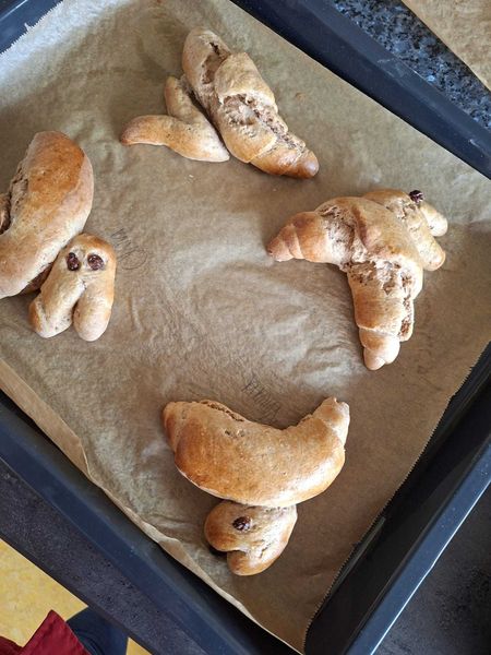 IMG-20260330-WA0011.jpg IMG-20260330-WA0011.jpg