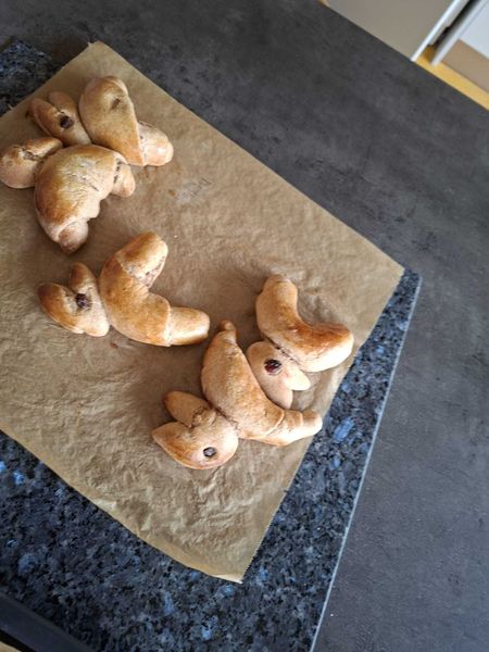 IMG-20260330-WA0015.jpg IMG-20260330-WA0015.jpg