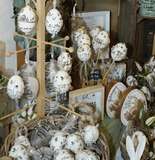 sb14_mt_ei.jpg © Dürnberger