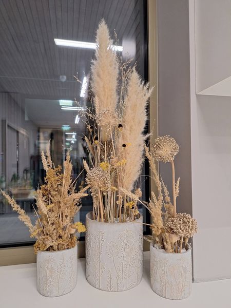 FB IMG 1774958181040.jpg FB IMG 1774958181040.jpg