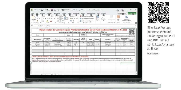 Excel-Vorlage_Pflanzenschutz.jpg © LK Steiermark