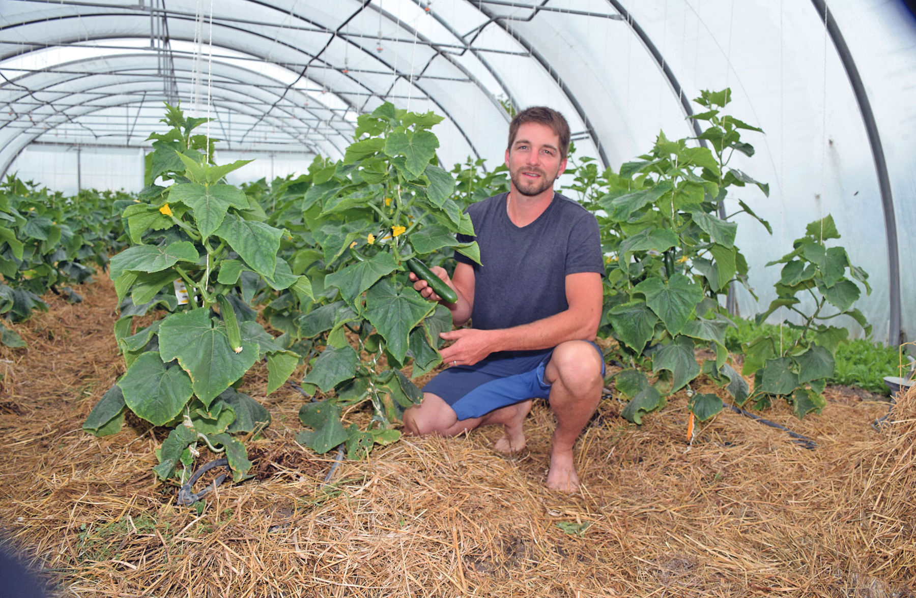 Umstellungskonzept aufgegangen.jpg © Prof. Mag. Josef A. Standl