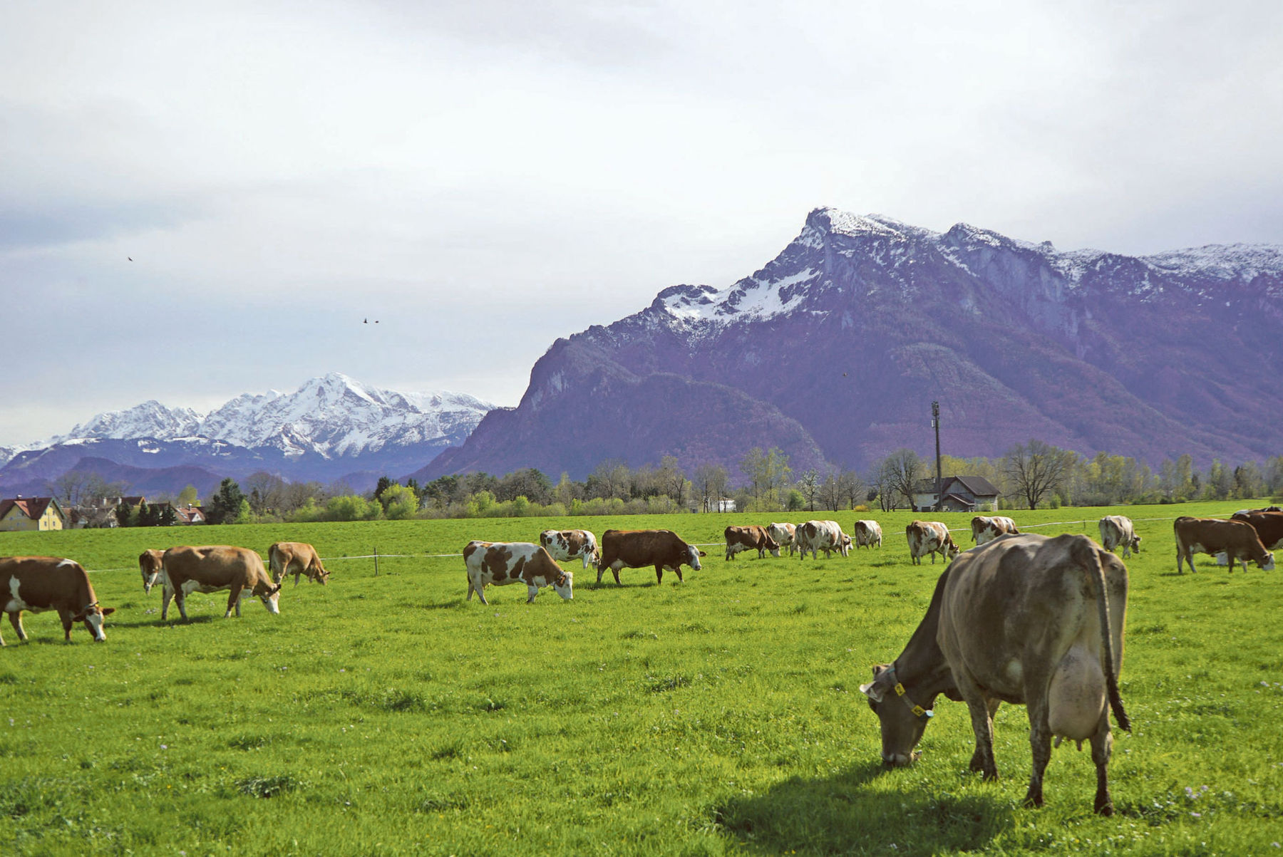 Feine Litzen –  große Wirkung.jpg © Hatheier