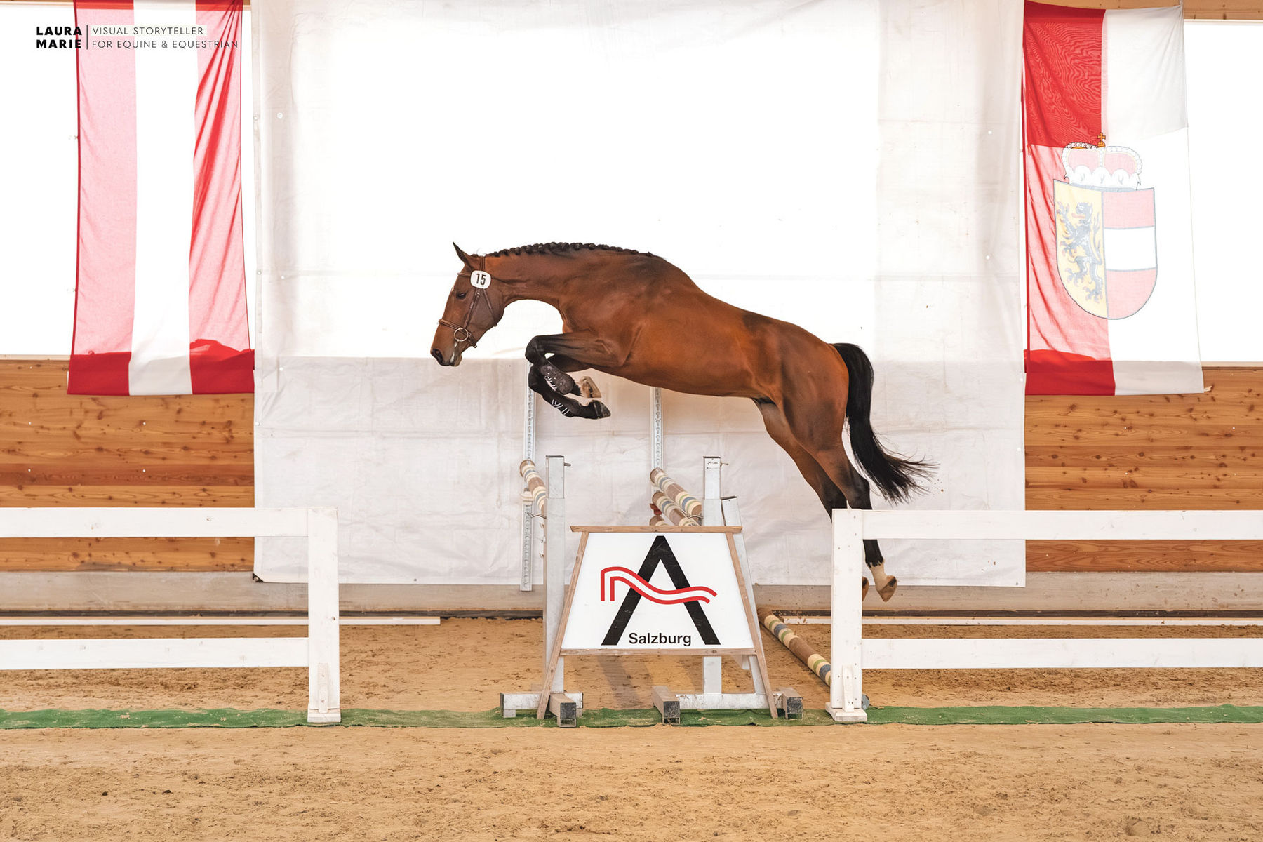 Freispring- und Freilaufchampionat  zeigt Topqualität.jpg © LPZV