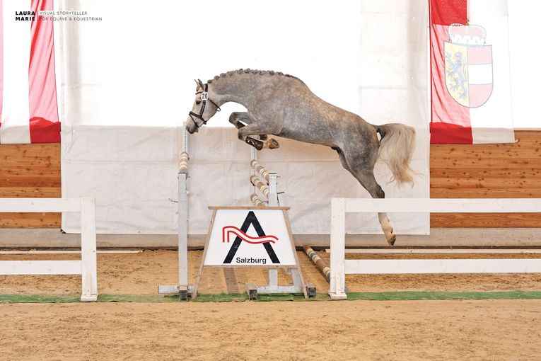 Freispring- und Freilaufchampionat  zeigt Topqualität.jpg © LPZV