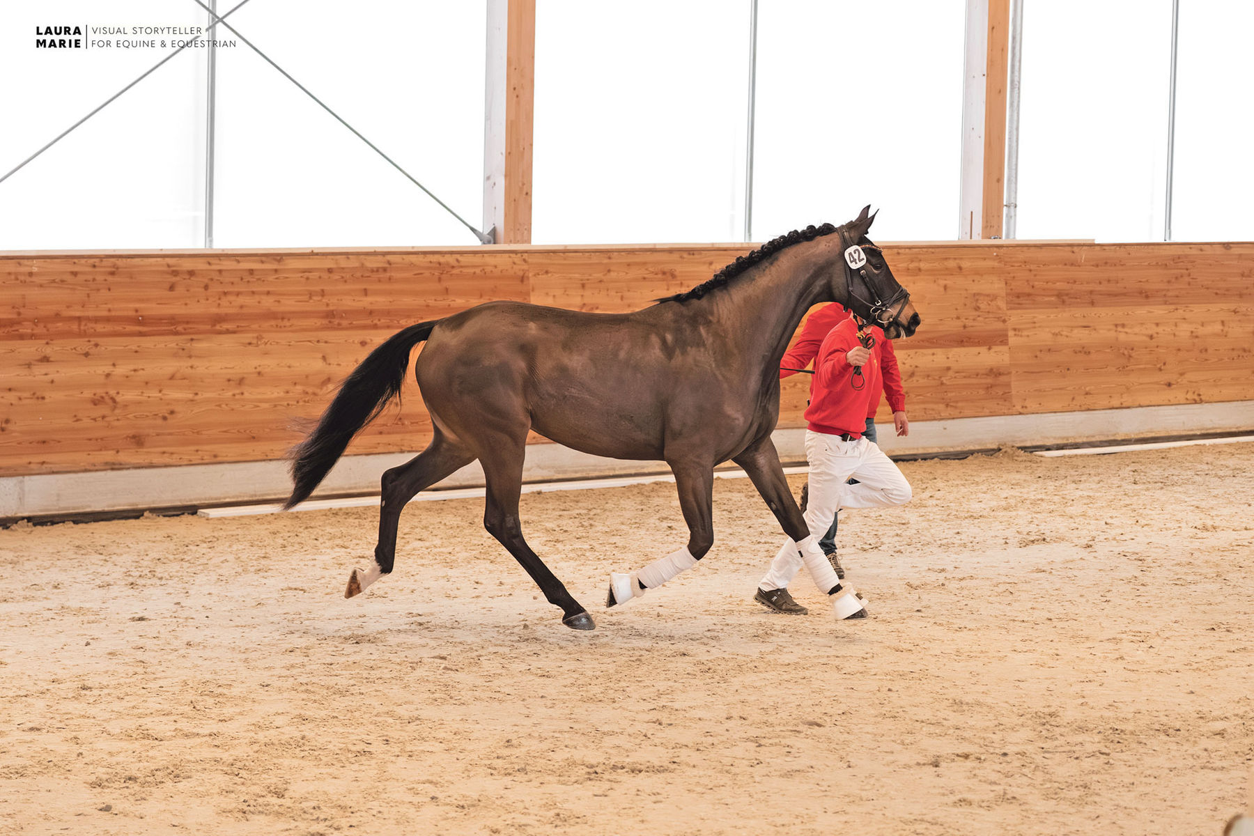Freispring- und Freilaufchampionat  zeigt Topqualität.jpg © LPZV