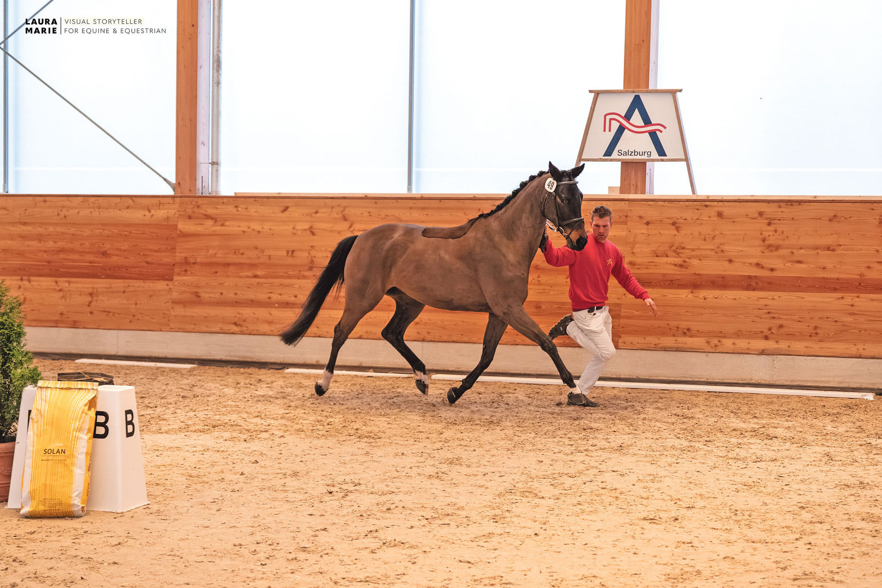 Freispring- und Freilaufchampionat  zeigt Topqualität.jpg © LPZV