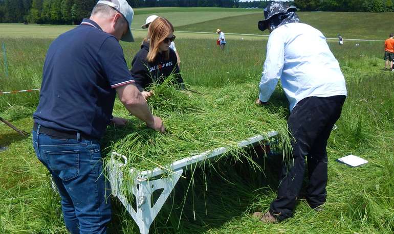 Insektenschonendes Mähen.jpg © LK OÖ/Fritscher