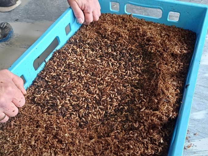 Bildungsreise Bayern 2026 © LKÖ/Eberharter