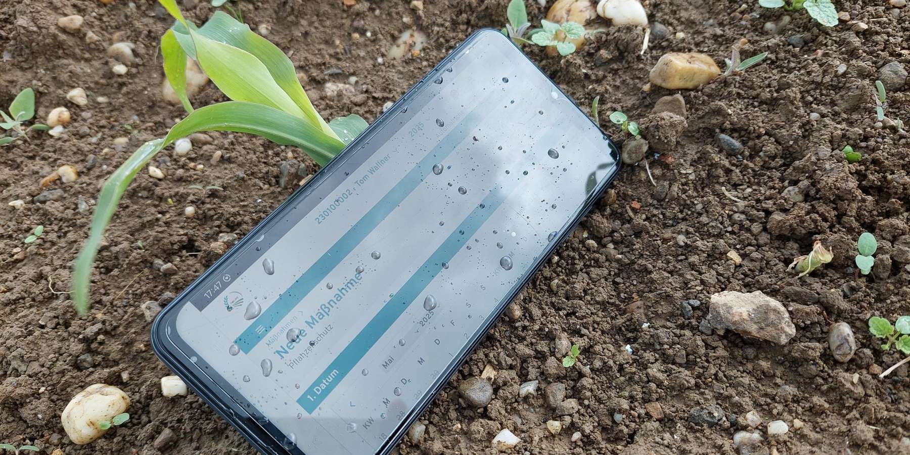 ÖDüPlan Plus_Mais_UK.jpg © BWSB/Wallner