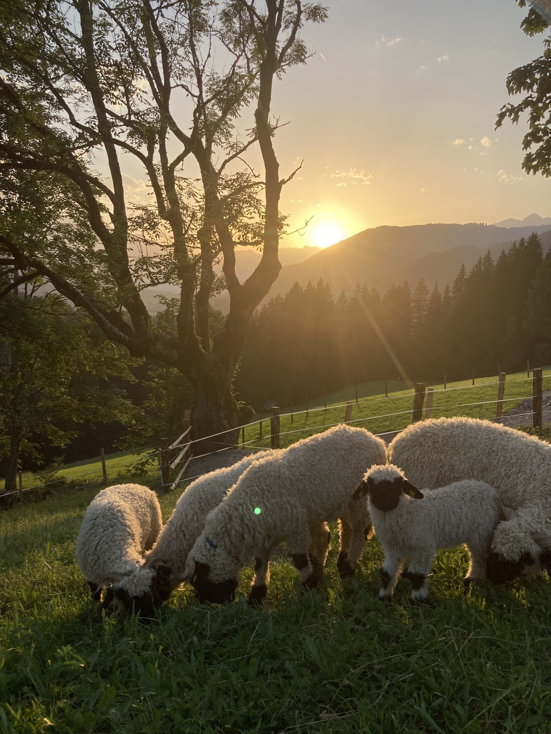 IMG_2680.jpg © Privat