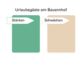stärken Schwächen.png © Mösenbichler