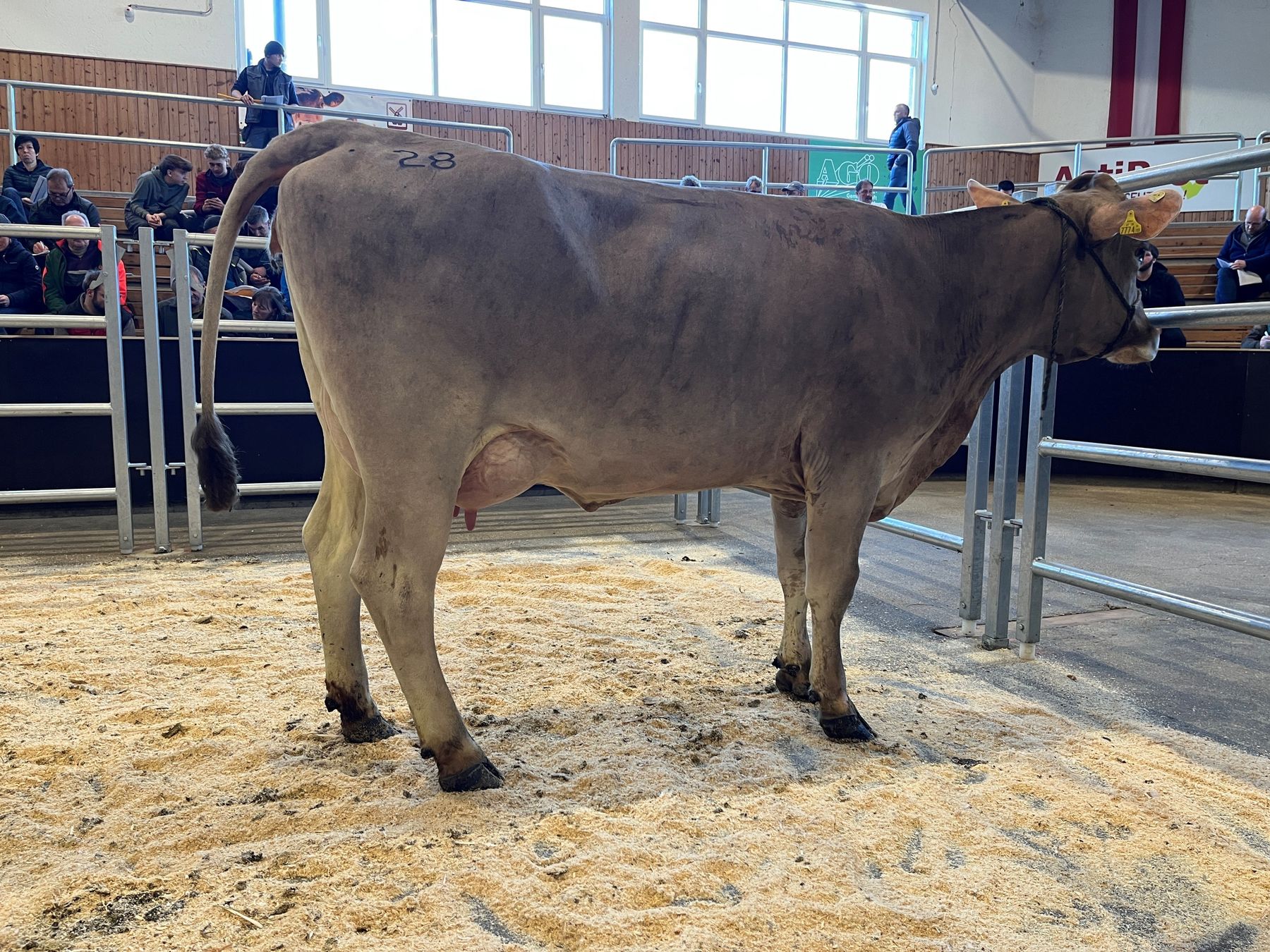 313_28.jpg © RZO/Kitzberger