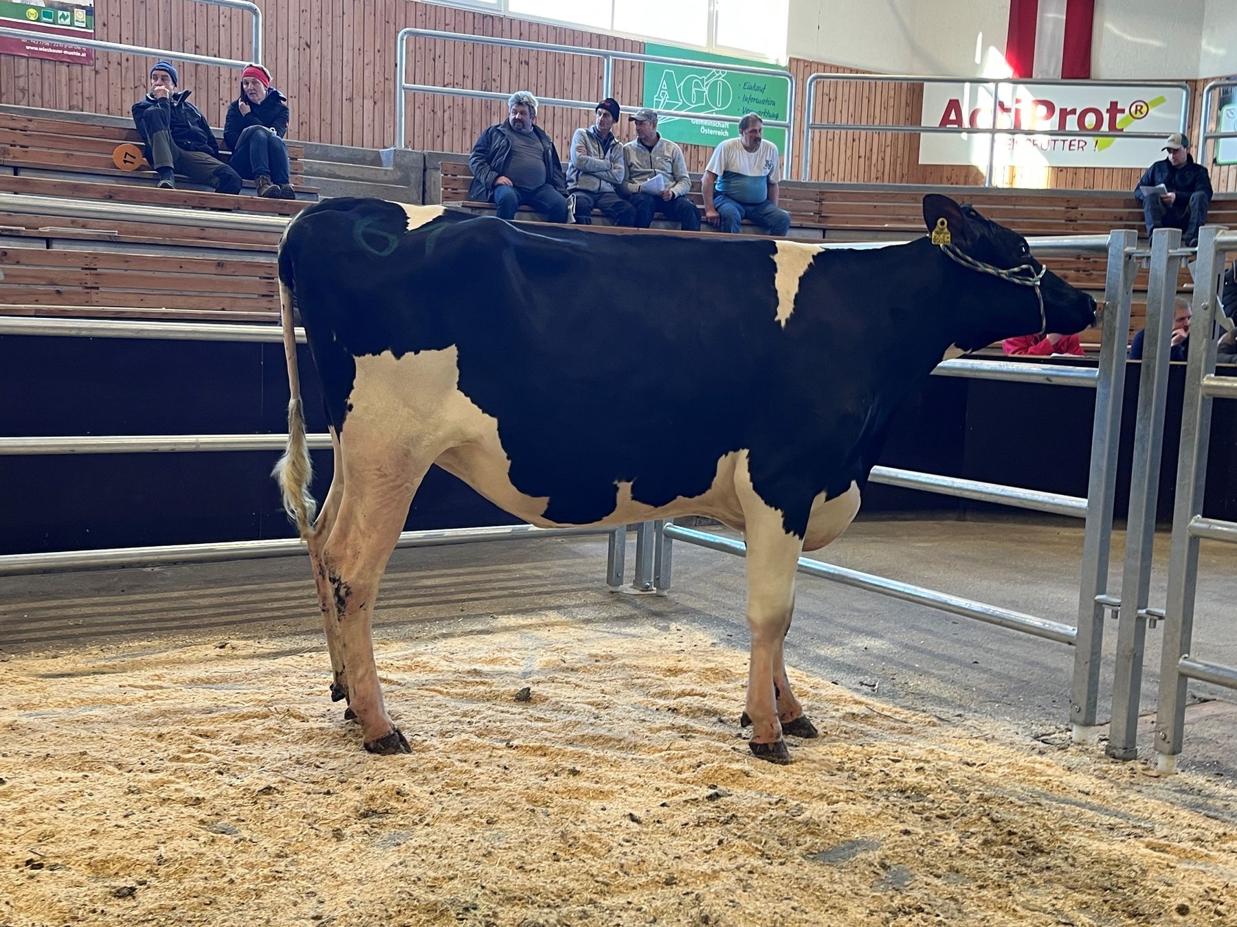 313_61.jpg © RZO/Kitzberger