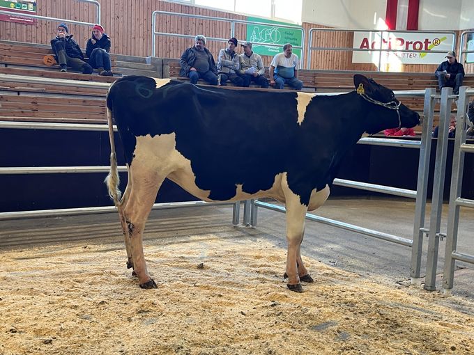 313_61.jpg © RZO/Kitzberger