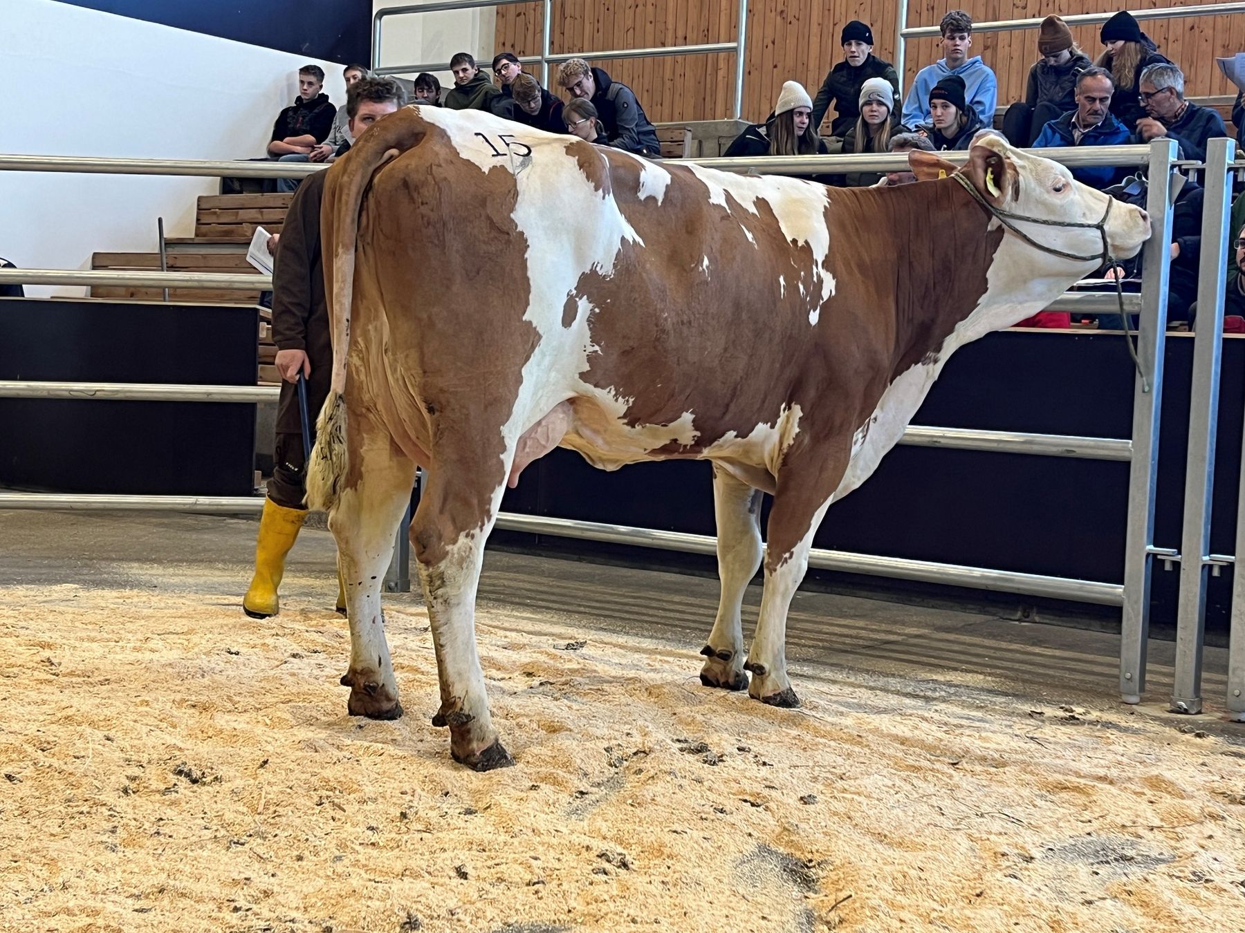 313_15.jpg © RZO/Kitzberger