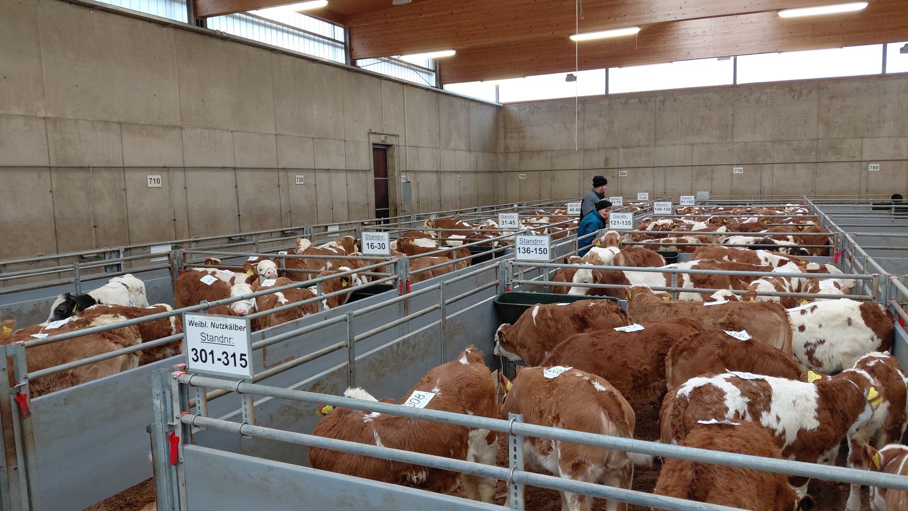 20251217_102441.jpg © RZO/Wiesinger