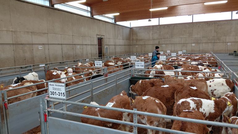 20251217_102441.jpg © RZO/Wiesinger