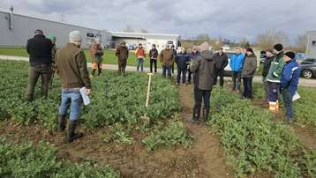 Suchen ...Feldbegehung und Arbeitskreistreffen in Dietach, 31. März 2026