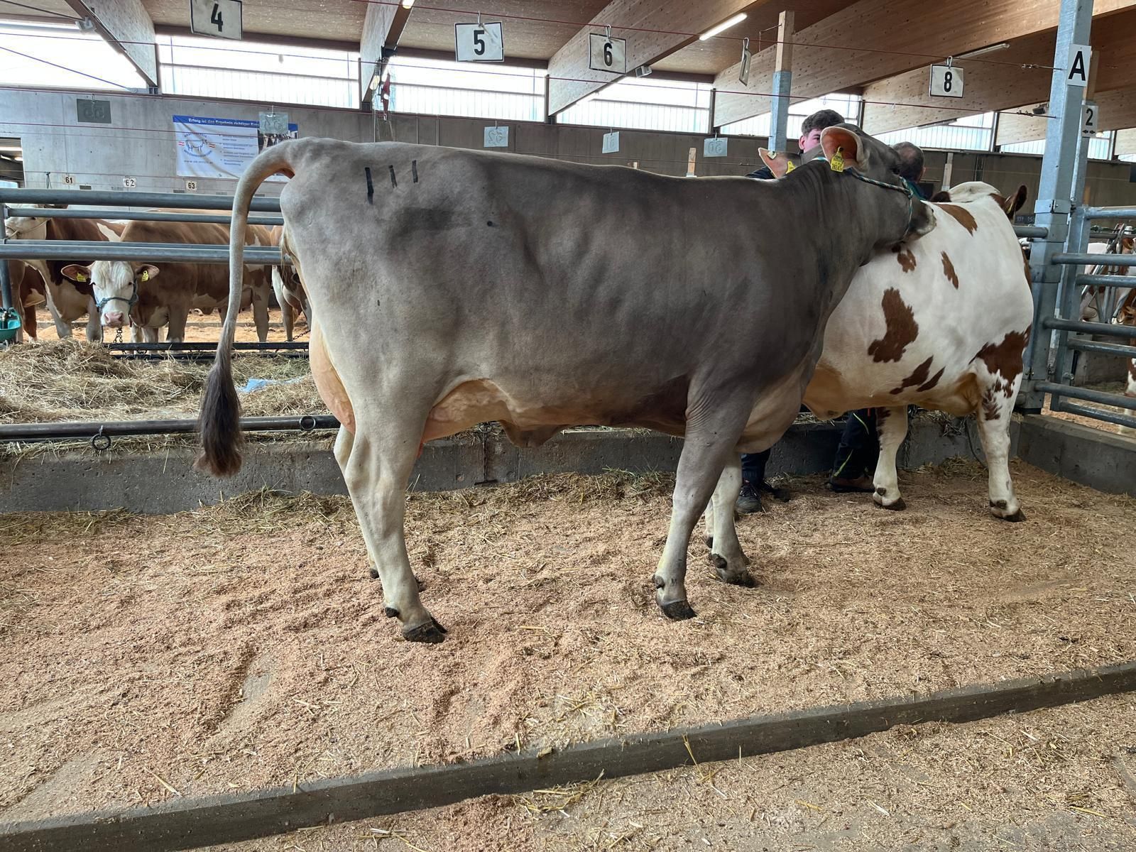 Freistadt - 01.04.2026 BS_Kat 111.jpg © RZO