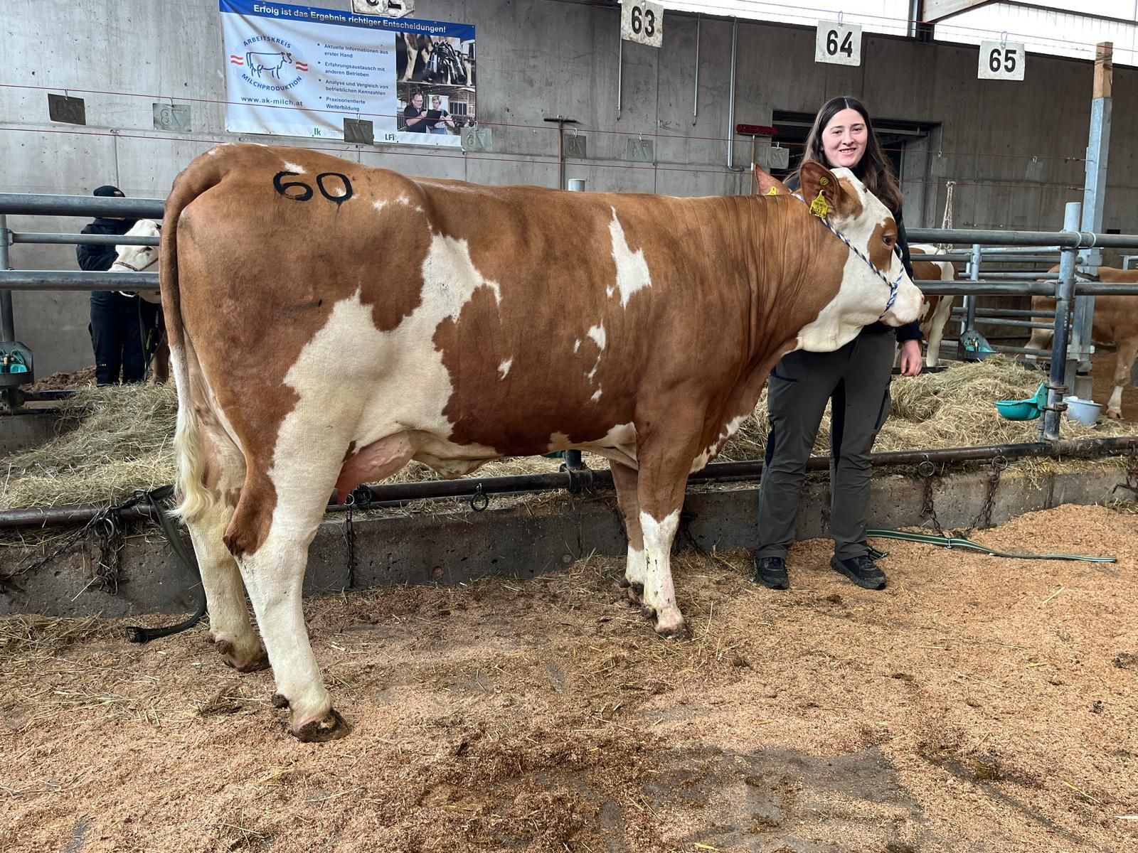 Freistadt - 01.04.2026 FL Kat 60.jpg © RZO