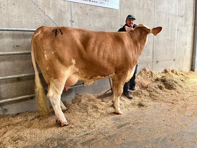 Freistadt - 01.04.2026 FL Kat 71.jpg © RZO