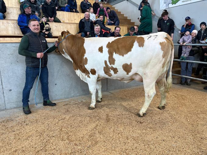 Freistadt - 01.04.2026 FL Kat 77.jpg © RZO