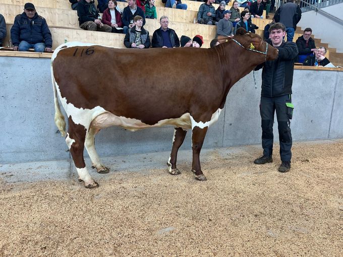 Freistadt - 01.04.2026 Pinzgau_Kat 116_2.jpg © RZO