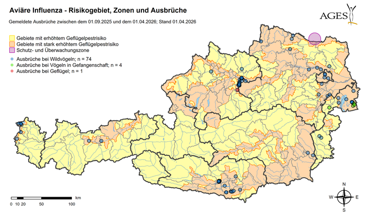 Geflügelpest Ausbrüche (Stand: 1.4.2026) © AGES