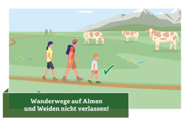 Verhaltensregeln für den Umgang mit Weidevieh © Illustration: Andreas Rampitsch