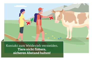 Verhaltensregeln für den Umgang mit Weidevieh © Illustration: Andreas Rampitsch