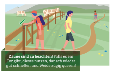 Verhaltensregeln für den Umgang mit Weidevieh © Illustration: Andreas Rampitsch