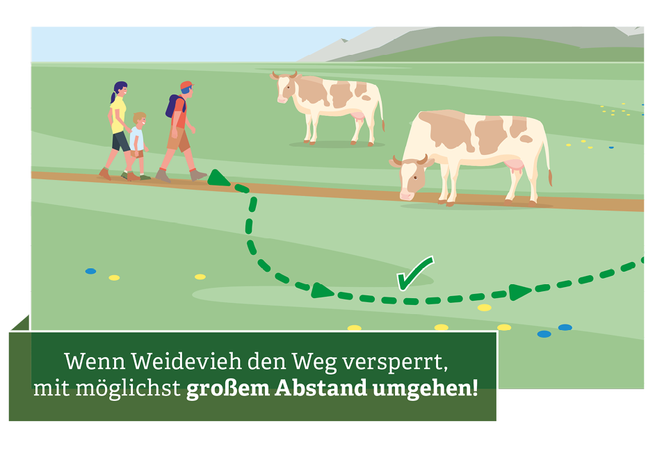 Verhaltensregeln für den Umgang mit Weidevieh © Illustration: Andreas Rampitsch