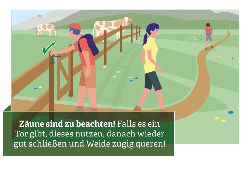 Verhaltensregeln für den Umgang mit Weidevieh © Illustration: Andreas Rampitsch