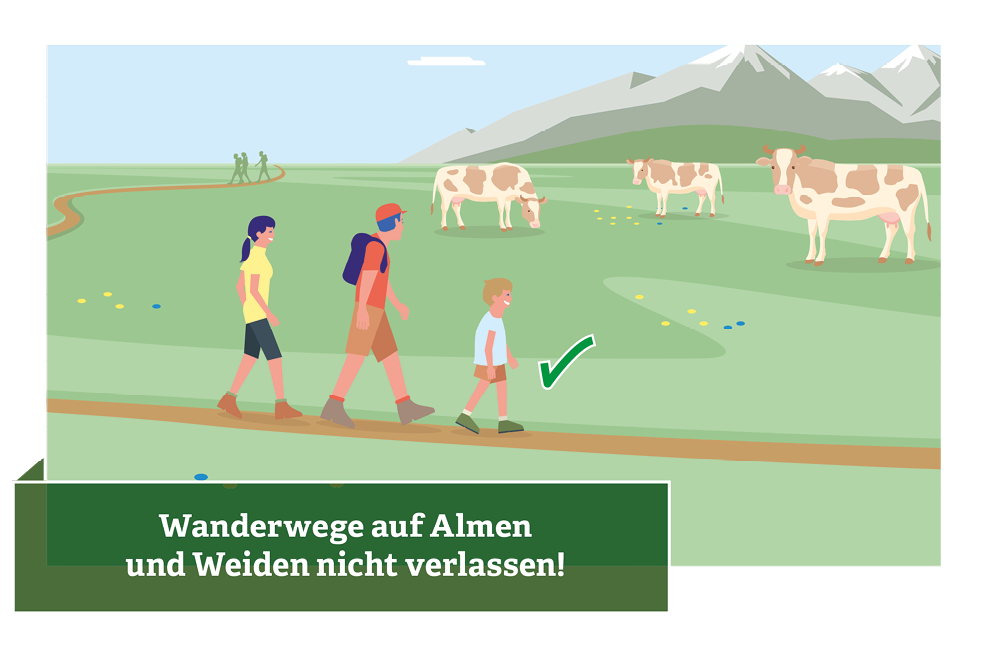 Verhaltensregeln für den Umgang mit Weidevieh © Illustration: Andreas Rampitsch