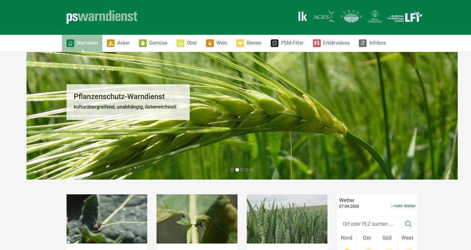 Pflanzenschutz-Warndienst Web.jpg © LK Niederösterreich