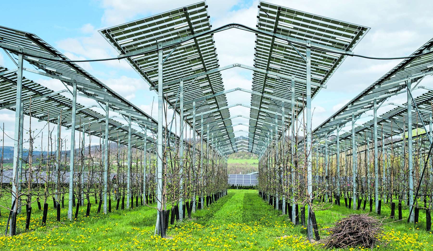 AGRI-PV 1.jpg © Pfabigan/LKÖ