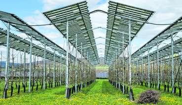 AGRI-PV 1.jpg © Pfabigan/LKÖ