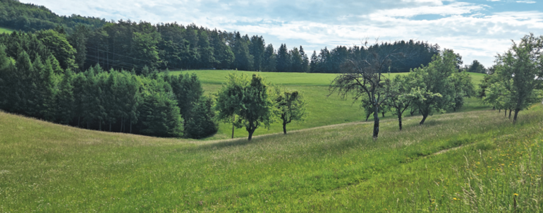 Landschaft.jpg © Weichselbaumer/LK OÖ